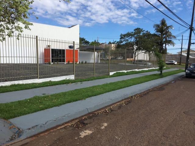 Terreno Av. Das Palmeiras - Foto 4