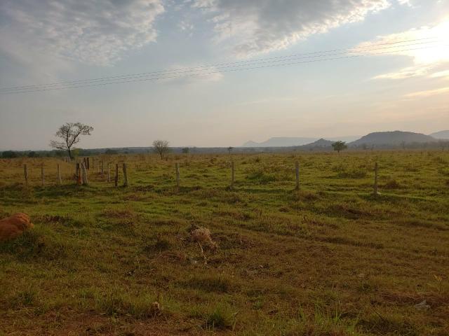 Fazenda pecuária R$ 12.000,00 por HA - Foto 5