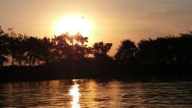 Vendo uma chácara de 2 hectares em barão, nas margem do pantanal!