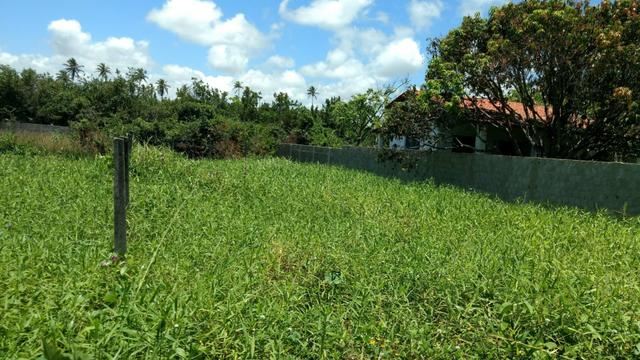 Grande terreno em Porto de Galinhas- Legalizado- Próximo ao mar-Super oportunidade!! - Foto 6