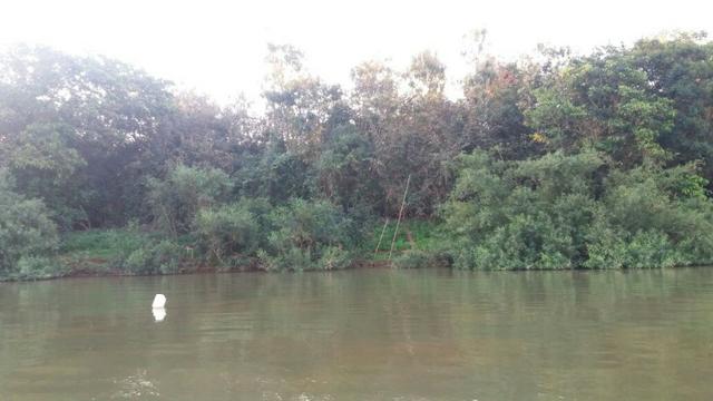 Vendo uma chácara de 2 hectares em barão, nas margem do pantanal! - Foto 4