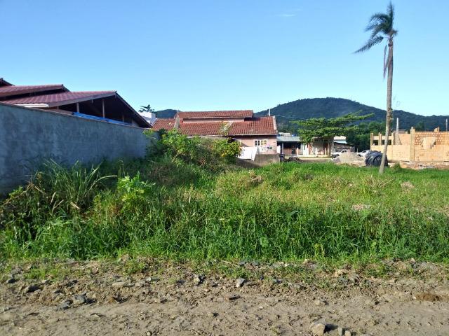 Excelente terreno na Praia de Zimbros / Bombinhas SC - 275 m2 - Foto 3