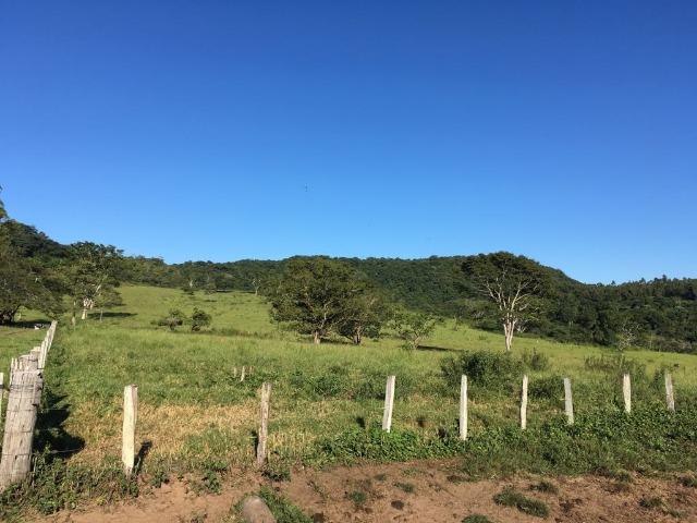 Fazenda de 500 hectares, terra de Furmas - Foto 3
