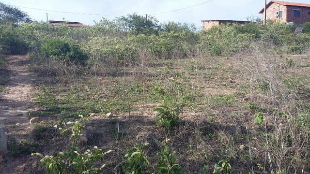 Um terreno no Loteamento Fazenda Riacho do Mel - Foto 6