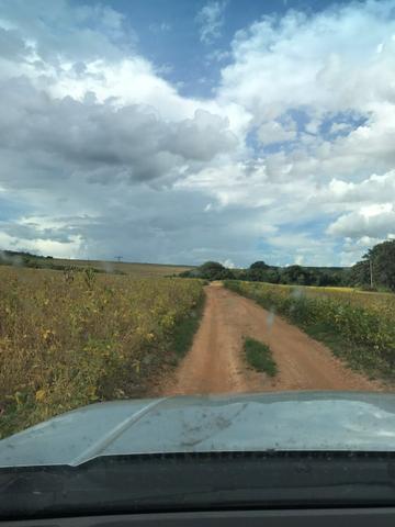 Fazenda excelente com Pivo - Foto 4