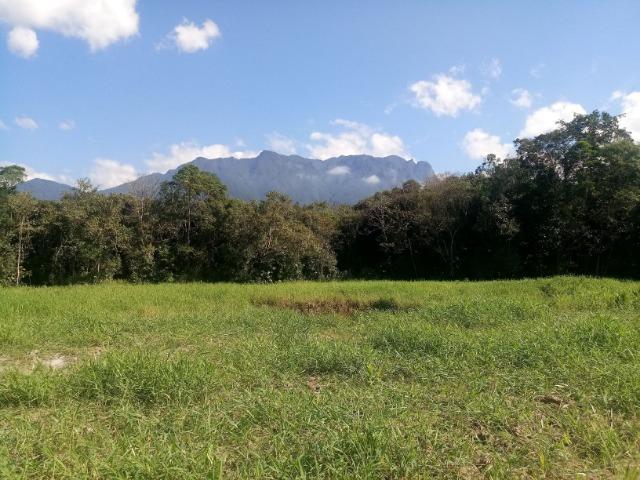 Chácara - Raia Velha - Morretes - Foto 4