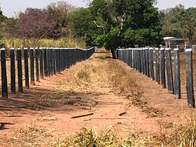 Sítio com estrutura de Fazenda - Foto 17