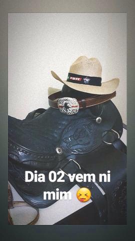 Vendo sela quarto de milha