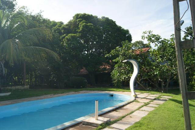 Fazenda 70 hectares á venda á 16km de Cuiabá - Foto 19