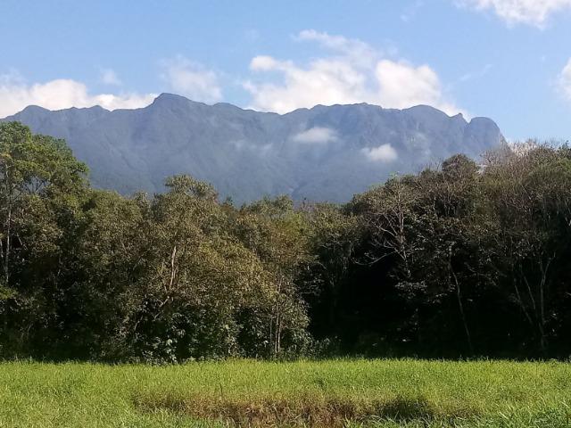 Chácara - Raia Velha - Morretes - Foto 6