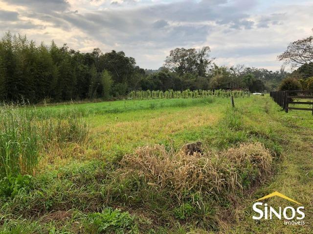 Área de terra próximo ao centro de Lomba Grande - Foto 5