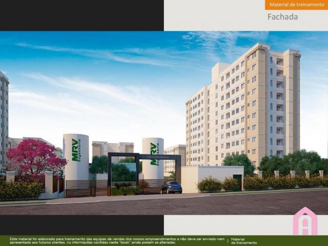 Apartamento à venda com 2 dormitórios em Panazzolo, Caxias do sul cod:2448