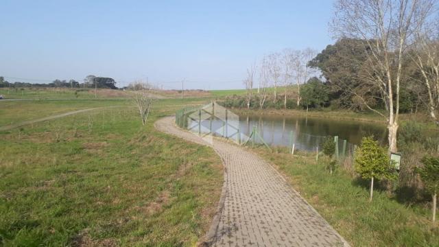 Terreno à venda em Borguetto, Garibaldi cod:9909319 - Foto 6