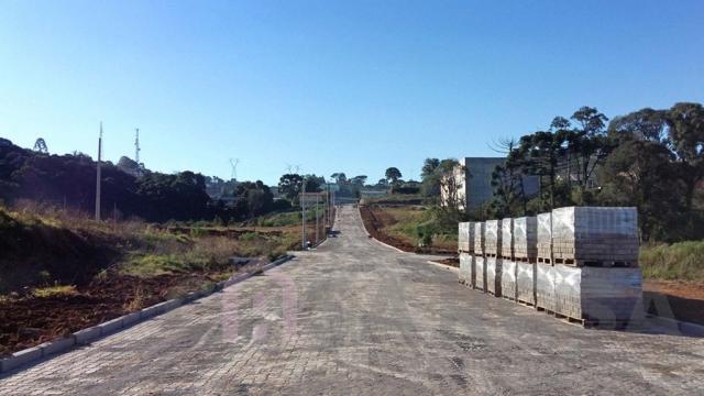 Terreno à venda em São ciro, Caxias do sul cod:2181 - Foto 5