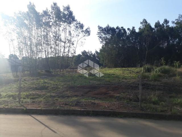 Terreno à venda em Alfândega, Garibaldi cod:9909316 - Foto 7