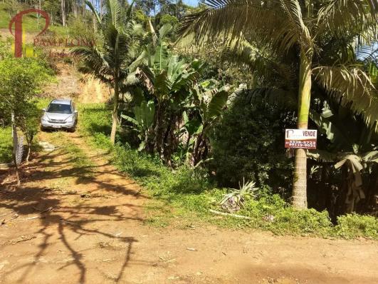 Sítio à venda em Ribeirão souto, Pomerode cod:1875 - Foto 2
