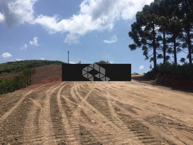 Terreno à venda em Faria lemos, Bento gonçalves cod:9903238 - Foto 8