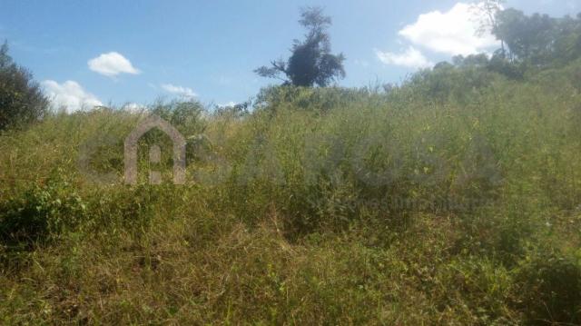 Terreno à venda em Nossa senhora das graças, Caxias do sul cod:1047 - Foto 3