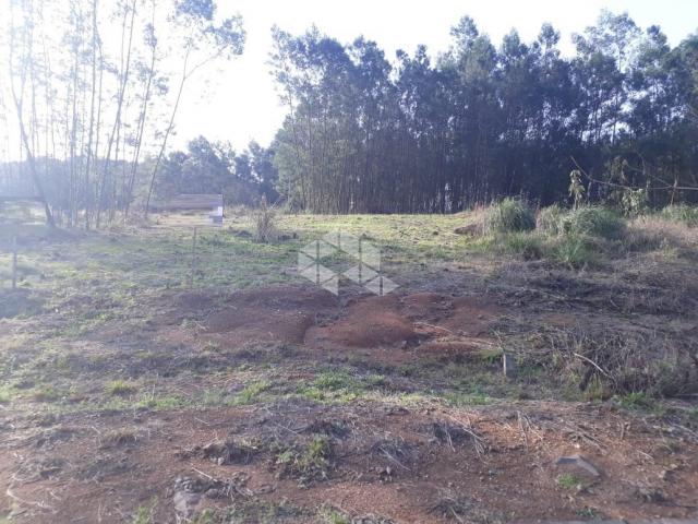 Terreno à venda em Alfândega, Garibaldi cod:9909316 - Foto 5