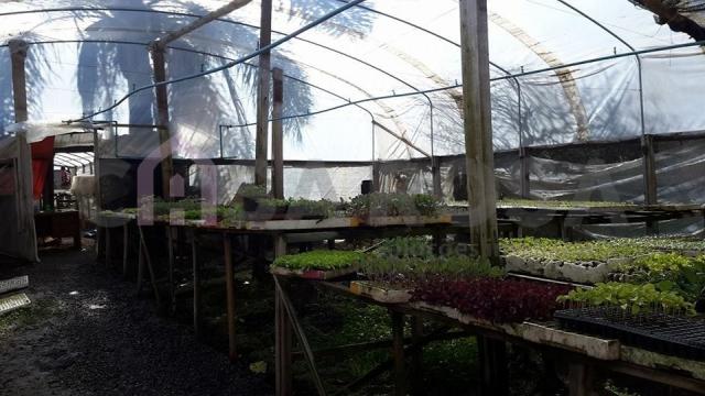 Terreno à venda em Pioneiro, Caxias do sul cod:644 - Foto 5