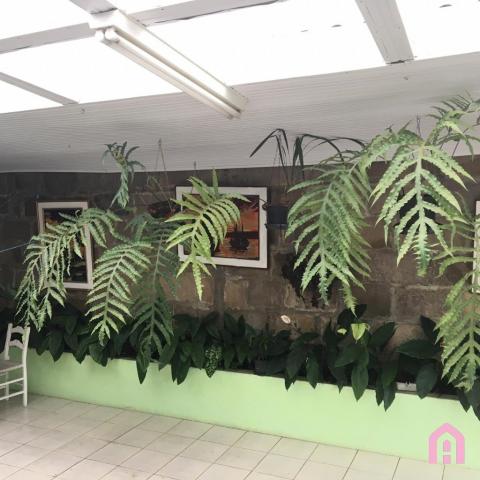 Casa à venda com 3 dormitórios em Diamantino, Caxias do sul cod:3034 - Foto 12