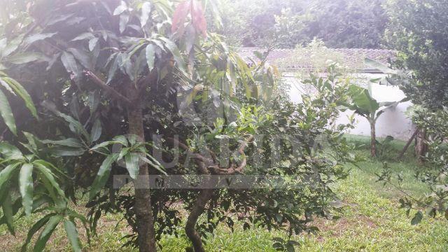Terreno à venda em Vila nova, Porto alegre cod:41847