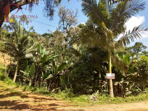 Sítio à venda em Ribeirão souto, Pomerode cod:1875 - Foto 3