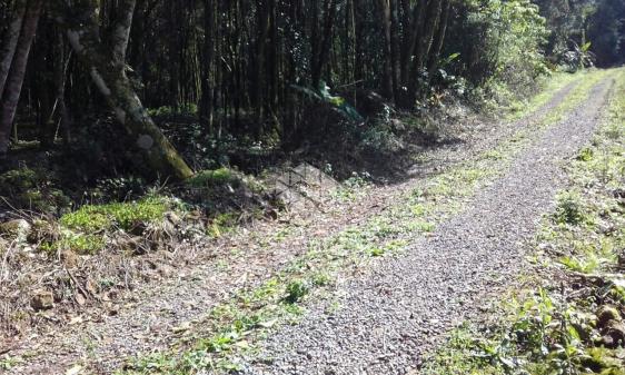 Chácara à venda em Centro, Coronel pilar cod:9904631 - Foto 12
