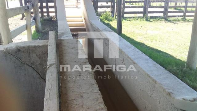Chácara à venda em Uruguai, Uruguai cod:5557 - Foto 18
