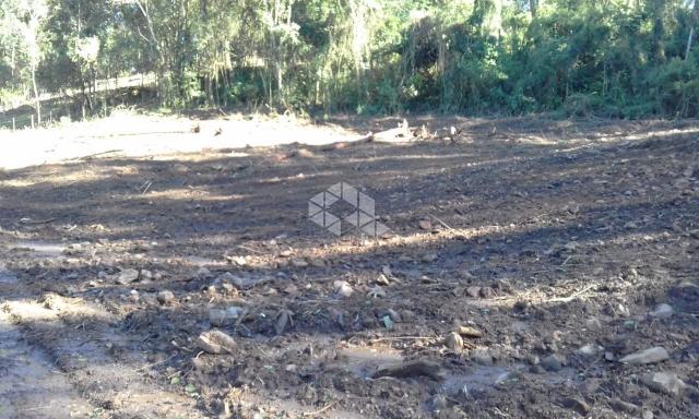 Chácara à venda em Centro, Coronel pilar cod:9904631 - Foto 11