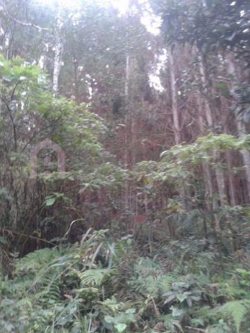 Terreno à venda em Vila oliva, Caxias do sul cod:1570 - Foto 4