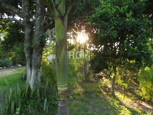 Sítio à venda em Laranjeiras, Osório cod:LI50877595 - Foto 5