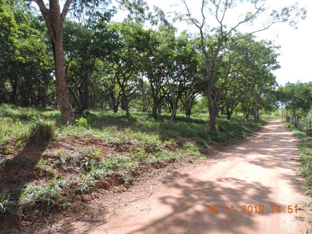 Vende-se terreno de 14 hectares - Foto 16