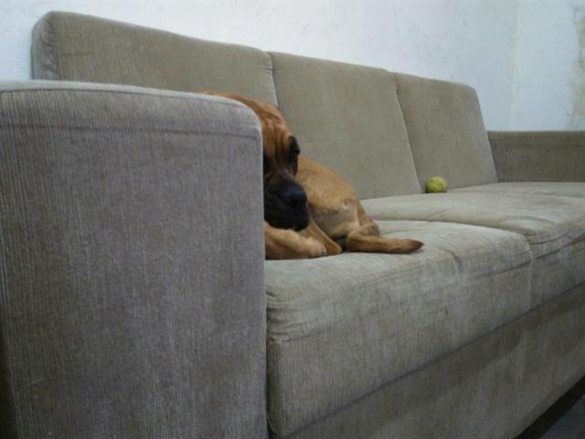 Sofá 3 lugares