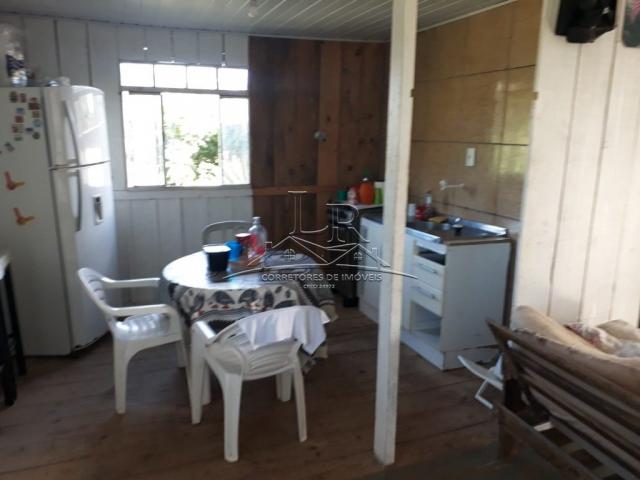 Casa à venda com 5 dormitórios em São joão do rio vermelho, Florianópolis cod:1557 - Foto 15