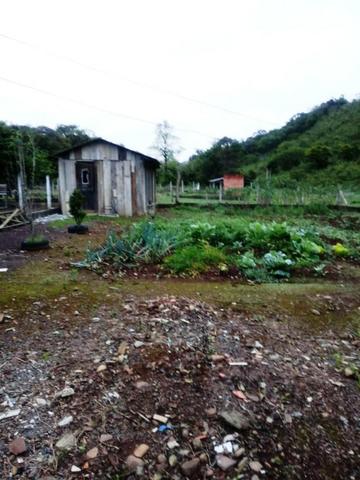 Bela sítio ótima casa próximo arroio pedra branca - Foto 16