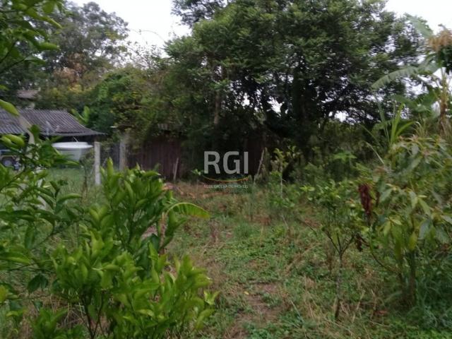 Terreno à venda em Lami, Porto alegre cod:LI50877511 - Foto 6