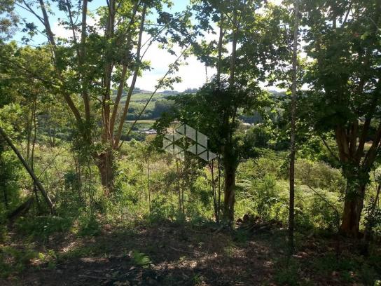 Terreno à venda em Vale dos vinhedos, Bento gonçalves cod:9889732 - Foto 10