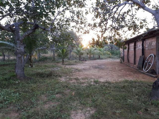 Sítio Rio do Prata (Jalapão) - Foto 4