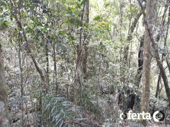 Chácara à venda em Araucária cod:566 - Foto 8