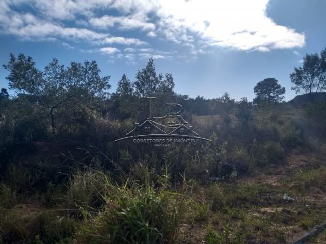 Terreno à venda em São joão do rio vermelho, Florianópolis cod:1735 - Foto 5