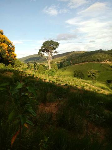Sitio em monte alto -itaipe - Foto 2