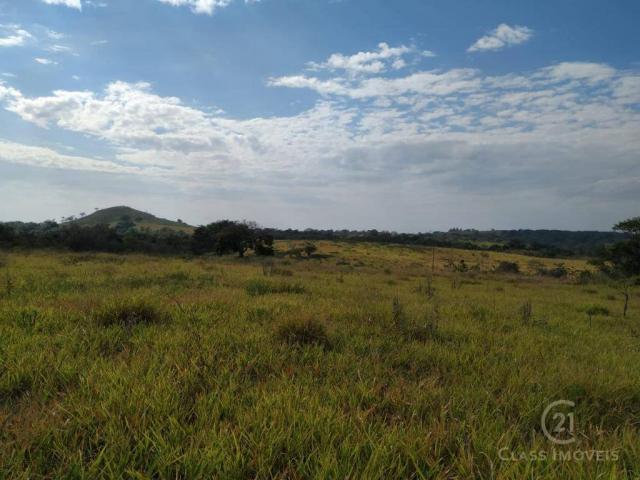 Fazenda Pecuária Santa Cecilia do Pavão PR - Foto 8