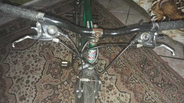 Bicicleta Rolamentado
