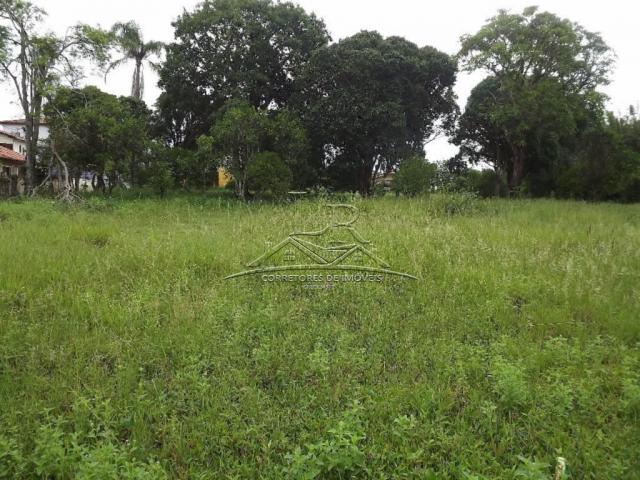 Terreno à venda em Ingleses, Florianópolis cod:394 - Foto 8