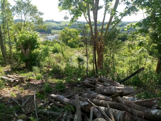 Terreno à venda em Vale dos vinhedos, Bento gonçalves cod:9889732 - Foto 15