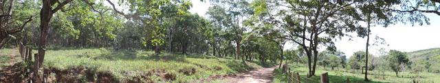 Vende-se terreno de 14 hectares - Foto 3