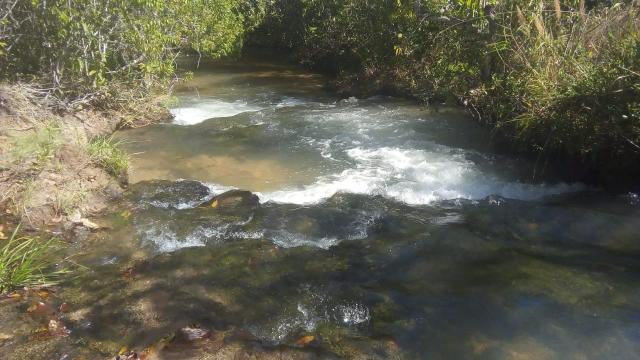 Fazenda 363 hectares