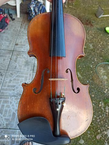Violino europeu