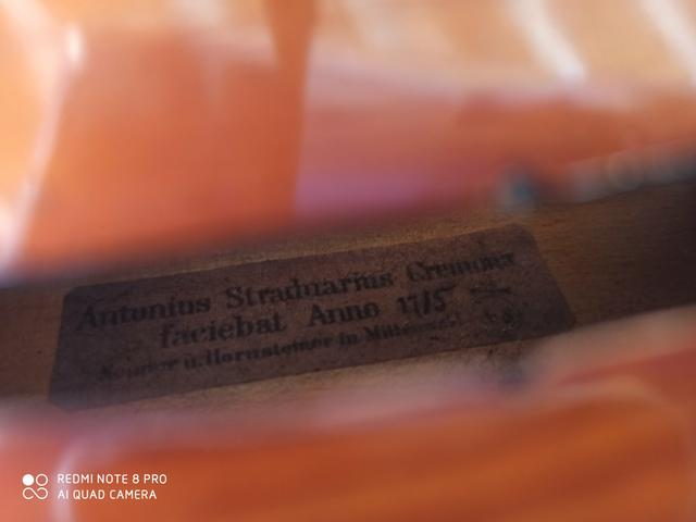 Violino - Foto 5